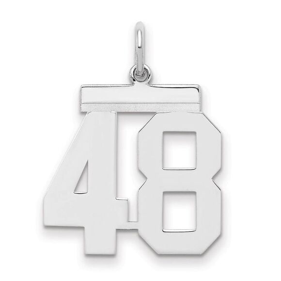 Sterling Silver, Athletic Collection Medium Polished Number 48 Pendant - Picture 1 of 3